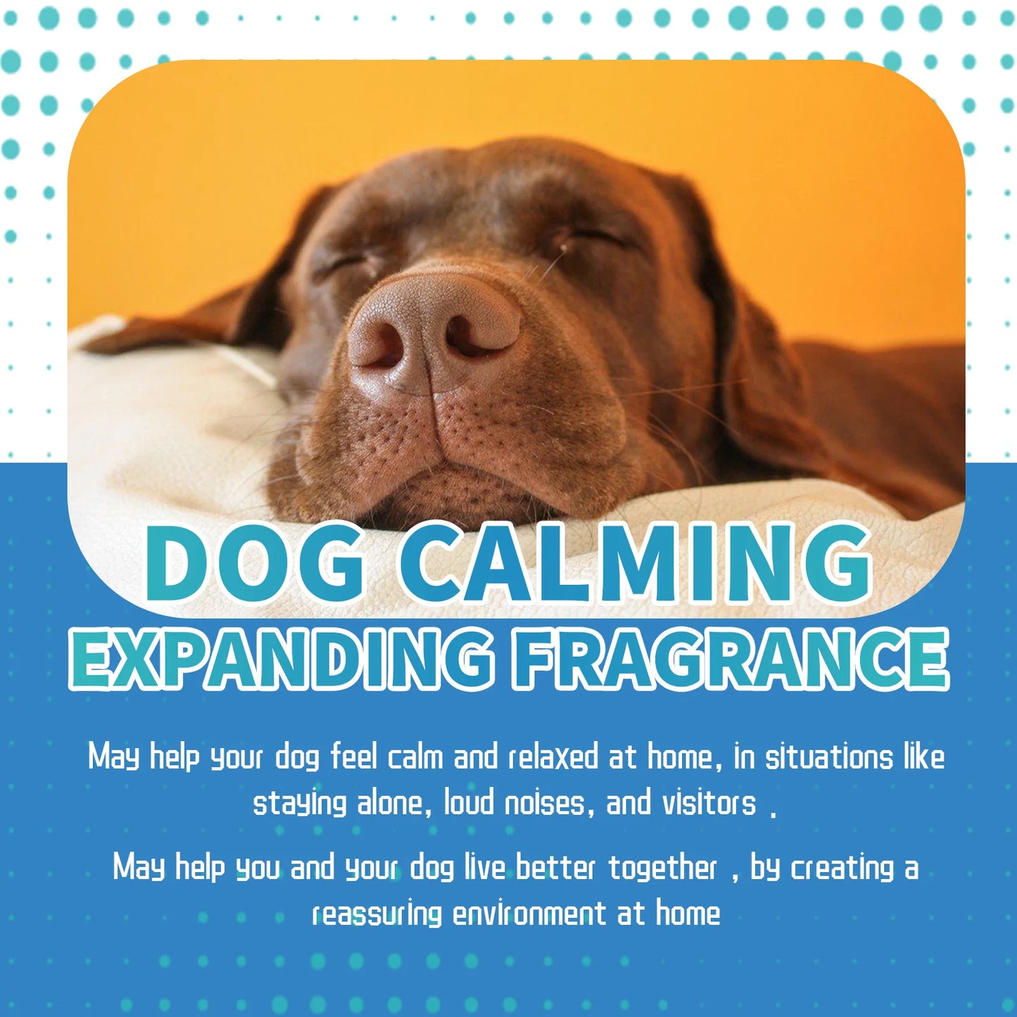Dog & Cat Calming Diffuser Liquid | Anti-Anxiety Relief 48ml