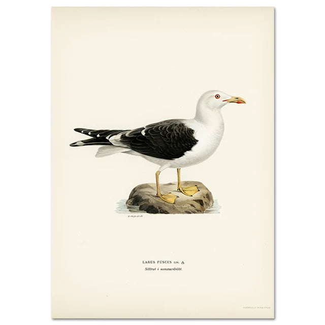 Retro Birds Poster and Print Vertebrate Canvas Painting Cormorant Bird Wall Picture Realism Art Mural Home Decor for Living Room Peaceful Pleasures Health and Wellness A10 30X40CM