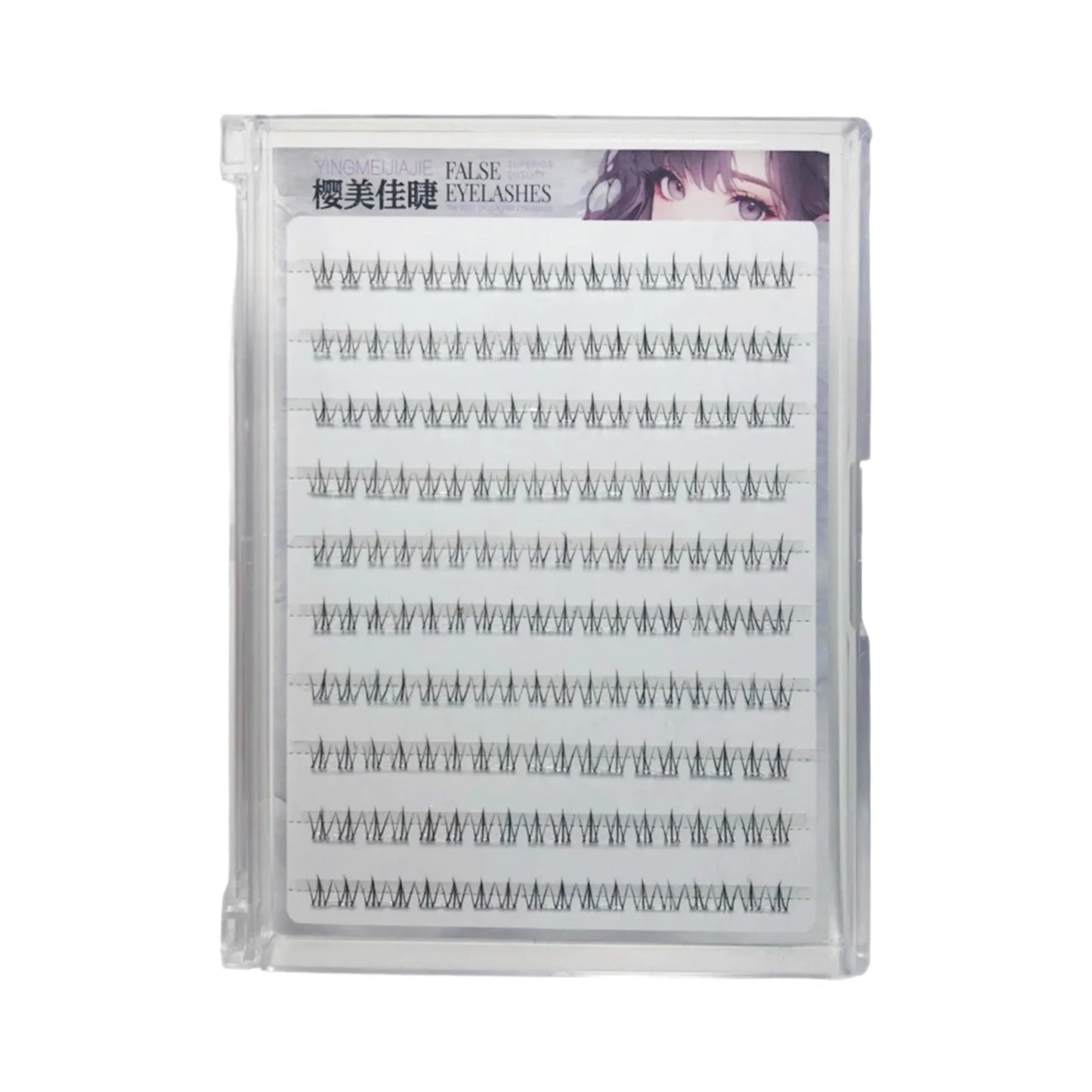 Cat Paw Lower Cluster Lash Extensions – Transparent Band