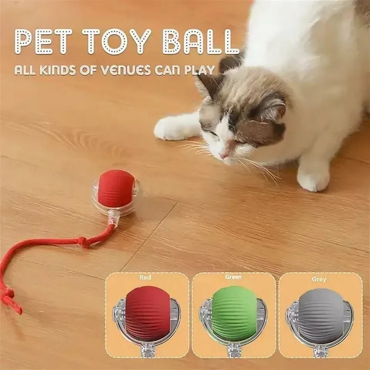 Electric Rolling Ball Cat Toy – Auto Interactive Mouse Ball Interactive Pet Toy Oasis Select