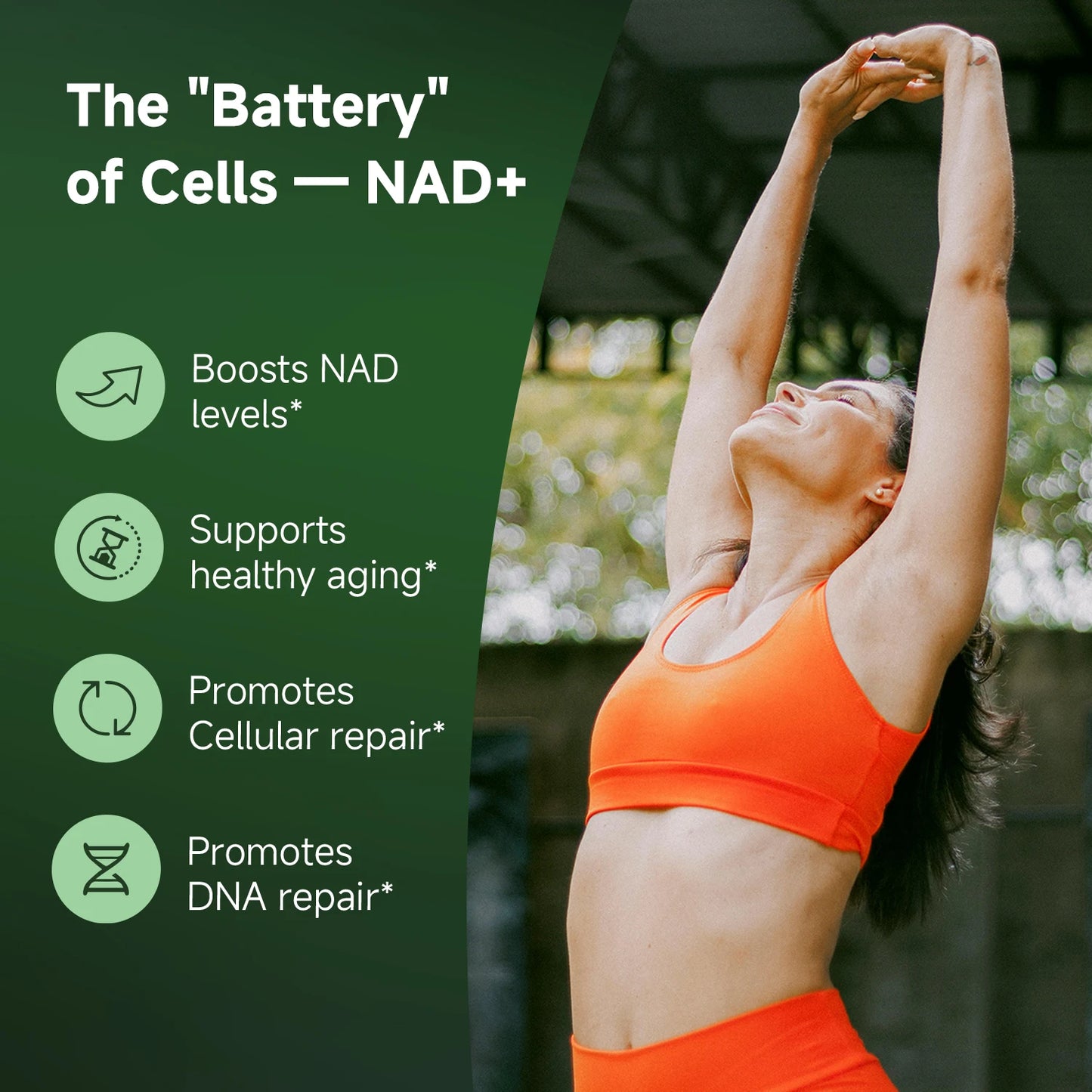 NR900 Supplement - Liposomal Nicotinamide Riboside, Resveratrol, Quercetin by Quitmood- High Purity NAD Supplement for Ski Peaceful Pleasures Health and Wellness