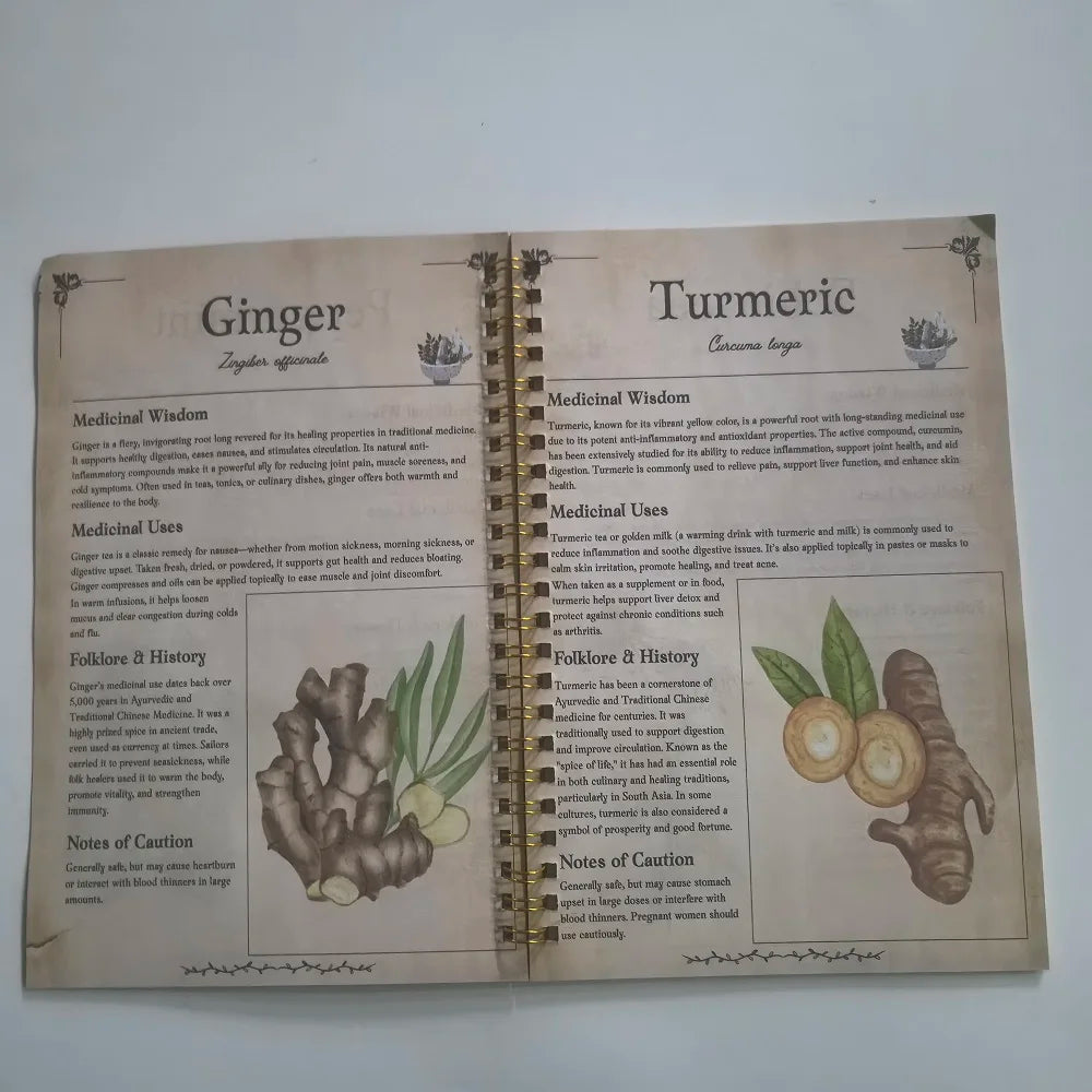 Tincture Recipes Book Apothecary Collection Natural Remedles Guide