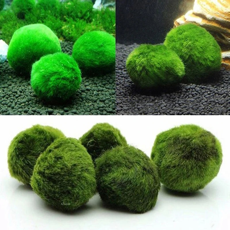 Artificial Marimo Moss Ball 3-4cm | Fish Tank Aquarium Decor