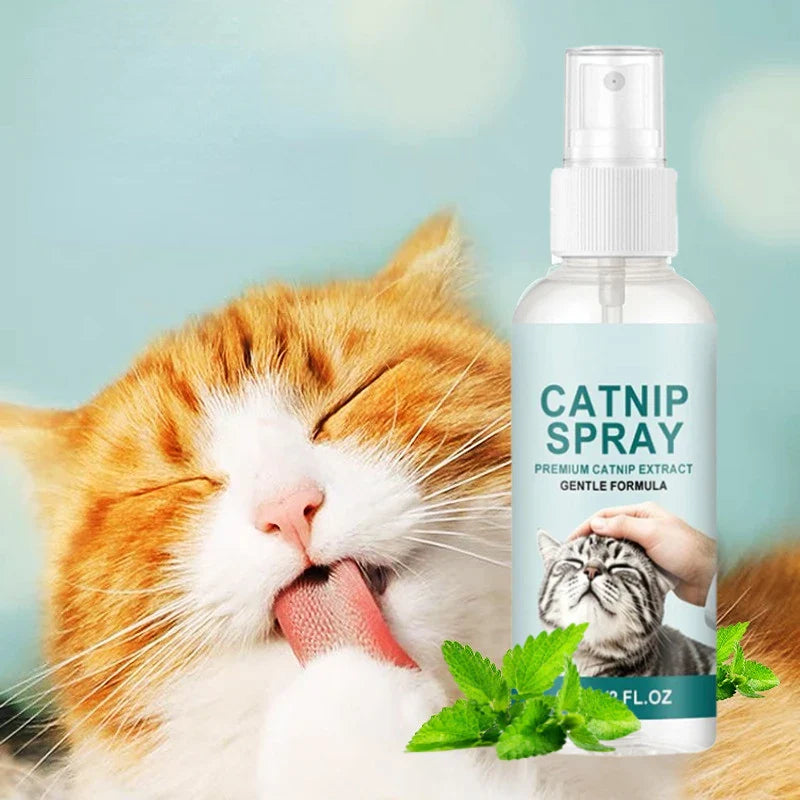 Catnip Spray for Cats – Calming, Stress Relief & Play