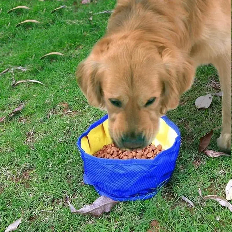 Foldable Pet Bowl Large Capacity Dog Water Outdoor Travel Hiking