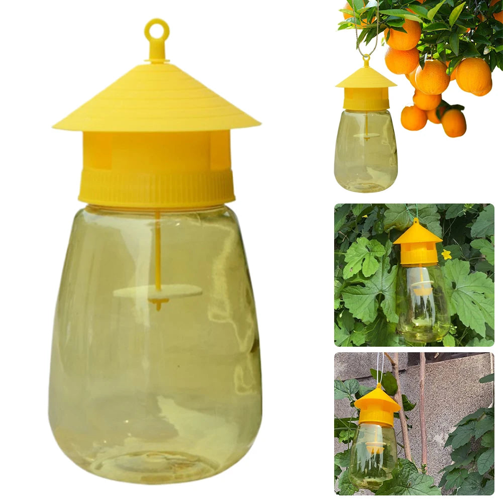 Reusable Fruit Fly Trap for Orchards & Gardens Peaceful Pleasures Health and Wellness Australia
