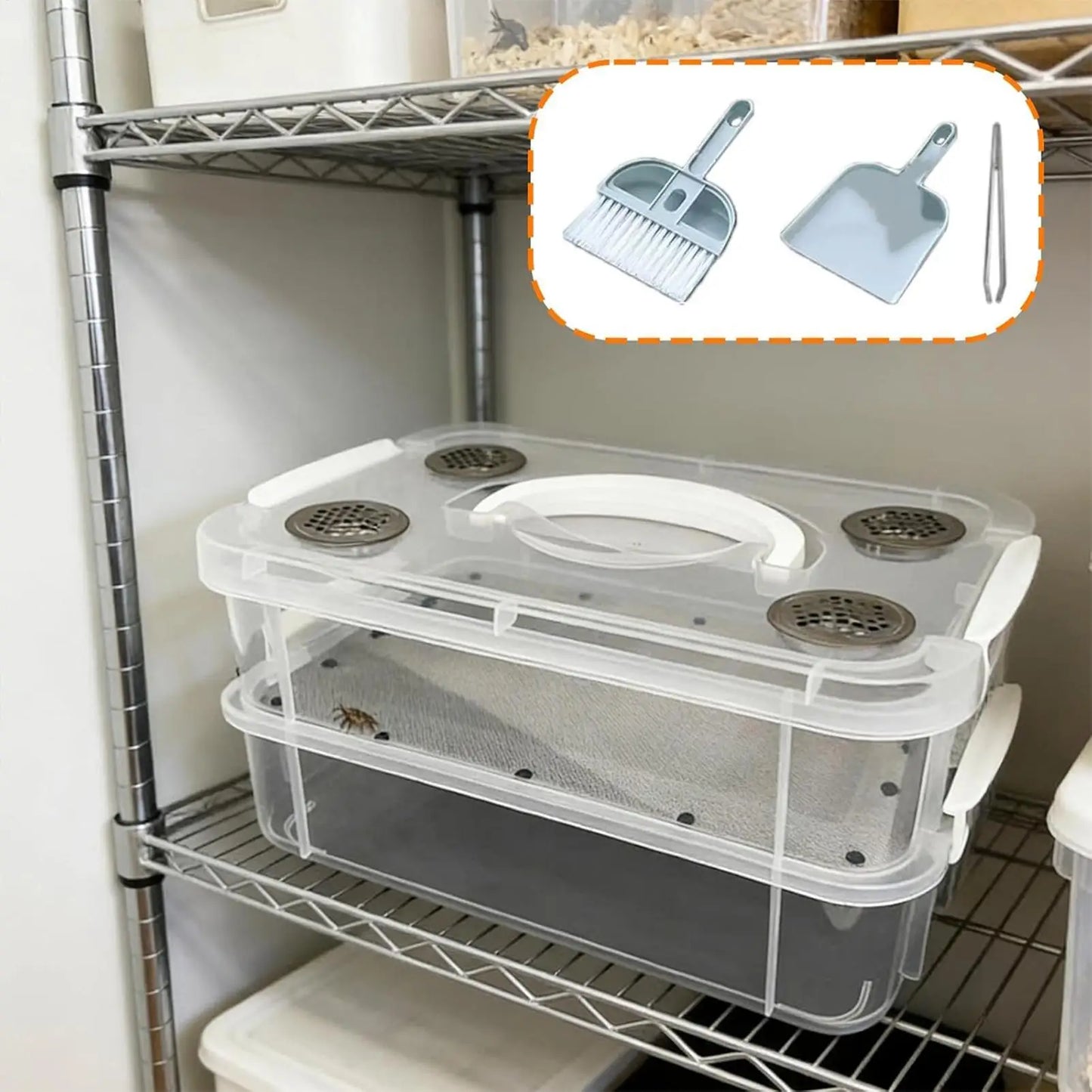 Mealworm Breeding Kit – Transparent Stackable Feeder Box