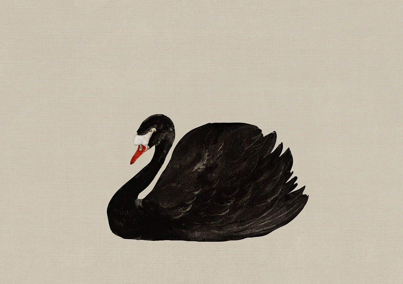 Antique Swan Watercolor Canvas Wall Art | Farmhouse Decor