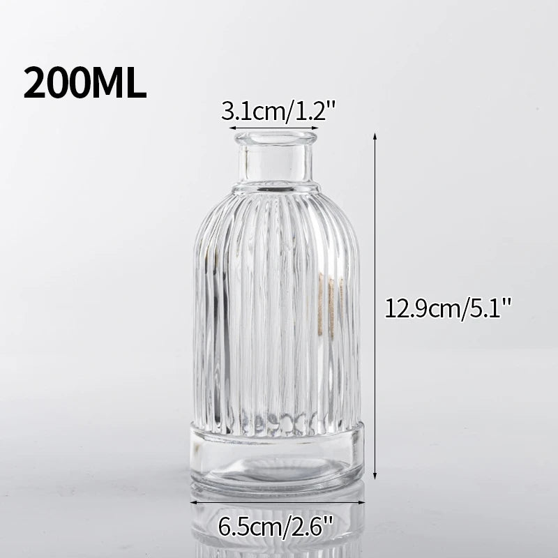 Vintage Transparent Glass Vase | Flower Bottle & Plant Pot