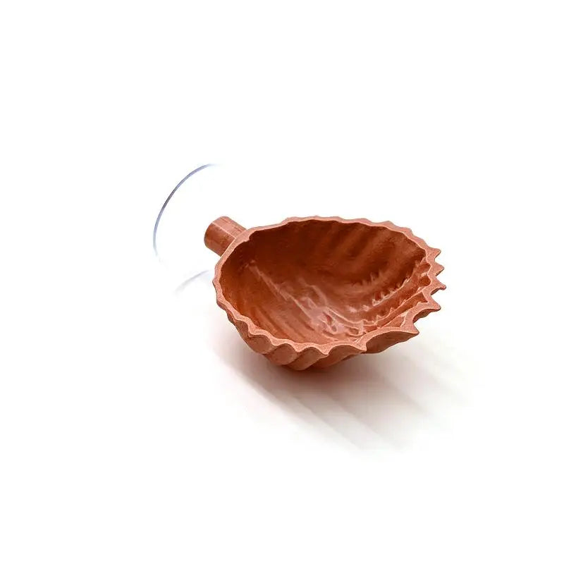 Shell Shaped Betta Feeding Dish with Suction Cup | Tank Decor Aquarium Feeding Tray Peaceful Pleasures Health and Wellness O