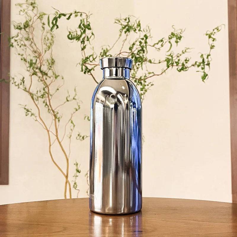 Mirror-Finish Stainless Steel Insulated Travel Cup 500ml Insulated Travel Cup Peaceful Pleasures Health and Wellness Silver 401-500ml