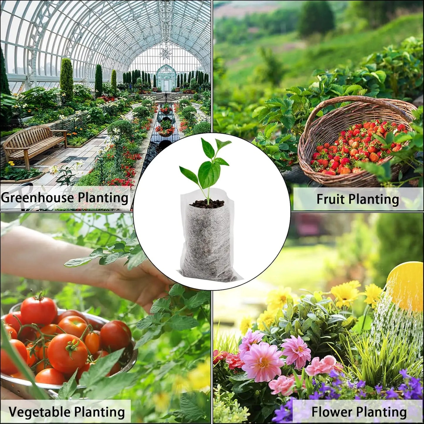 Fabric Plant Seedling Bags 100–1000PCS | Eco Nursery Pots
