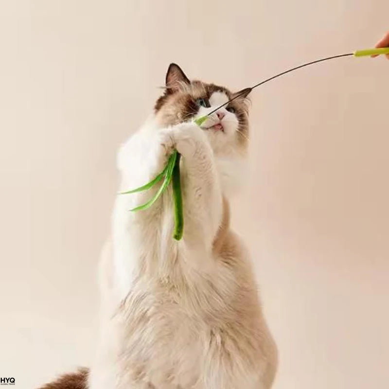 Juguetes Para Gatos Varilla Flexible Plumas Y Hierba Mascotas