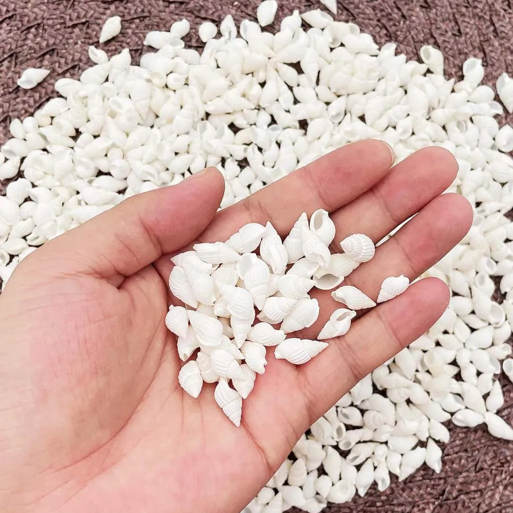 100pcs Natural White Spiral Seashell Beads for DIY Crafts & Decor