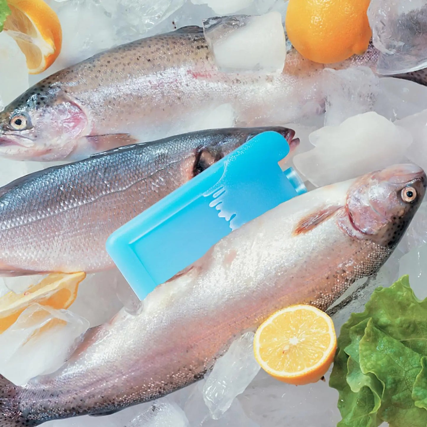 Reusable Ice Packs 2-Pack | Long-Lasting Freezer Blocks