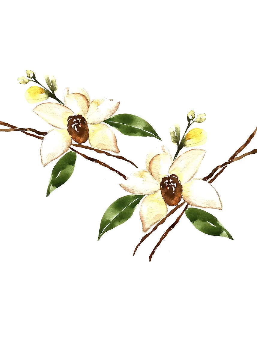 Watercolor Floral Canvas Wall Art Print | Unframed Poster