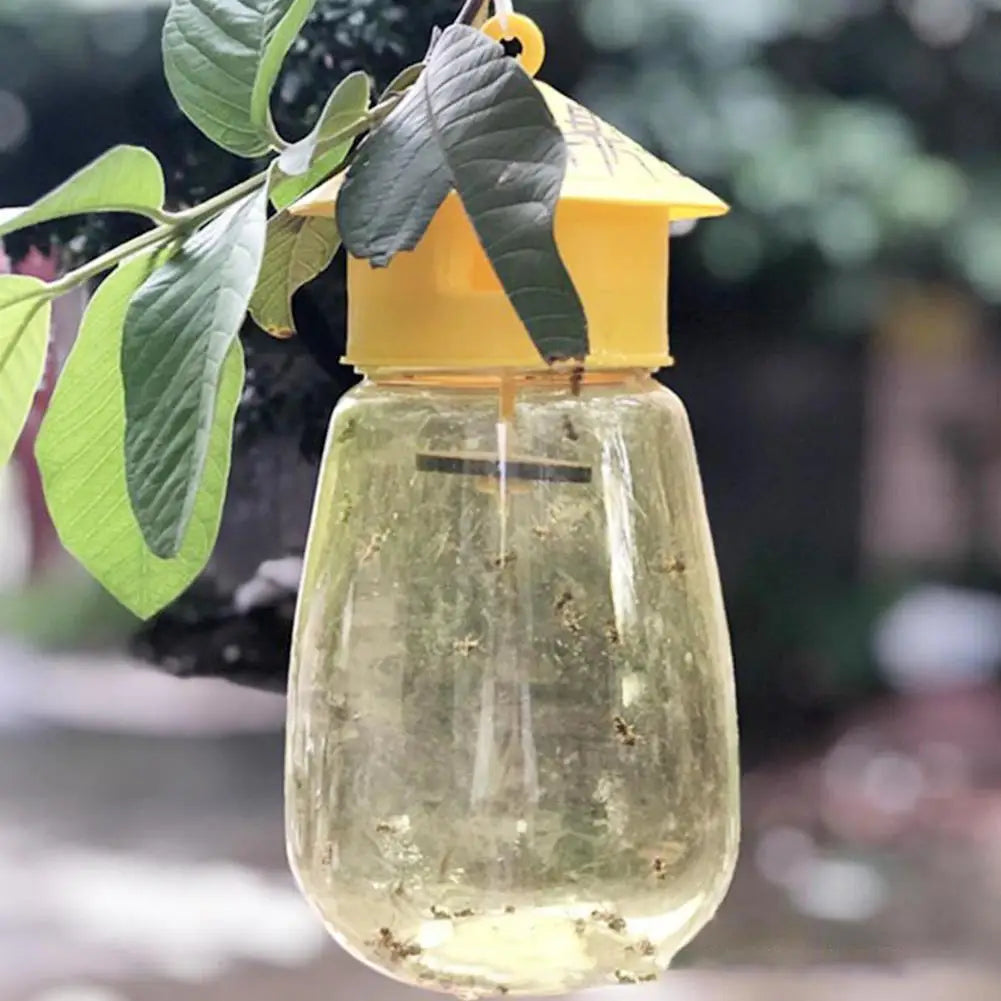 Fruit Fly Trap | Garden & Orchard Insect Catcher | 1–5 Pack