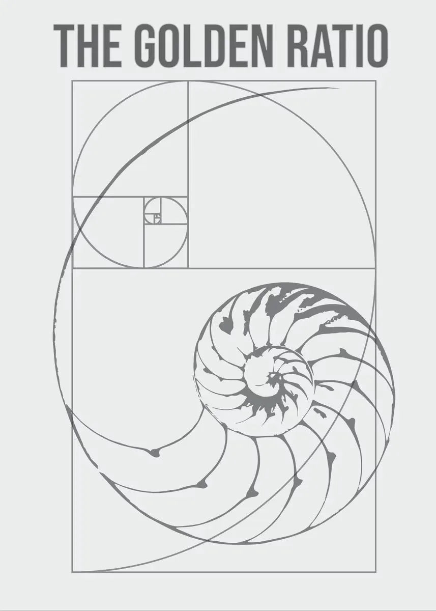 Fibonacci Spiral Golden Ratio Canvas Wall Art | Science Decor