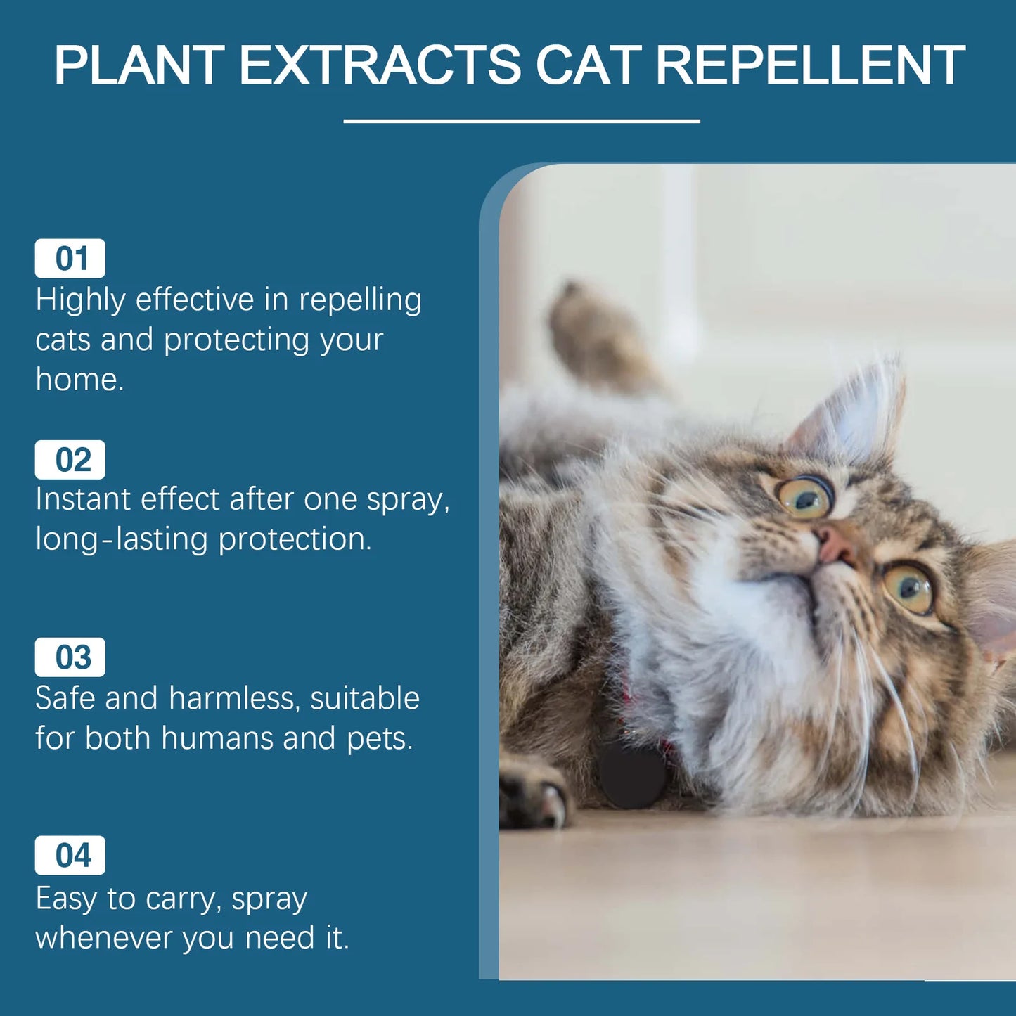Cat Deterrent Spray – Anti-Scratch Furniture Protector 100ml