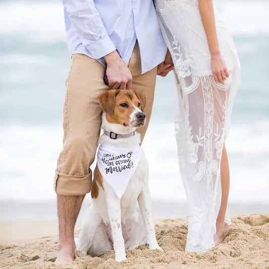 My Humans Are Getting Married Dog Bandana | Wedding Pet Scarf Dog Wedding Bandana Peaceful Pleasures Health and Wellness