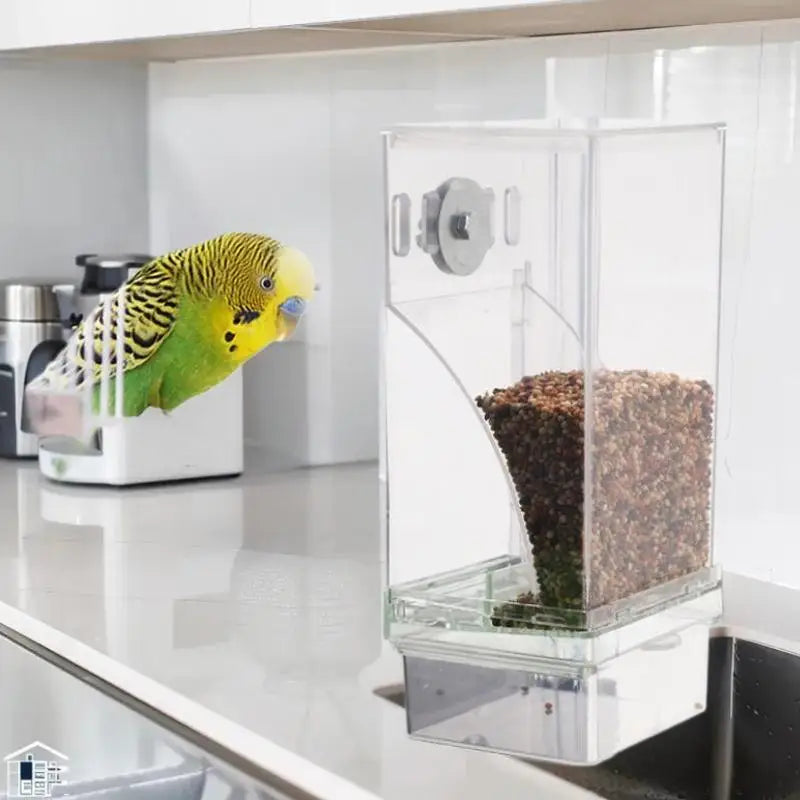 Large Anti-Splash Bird Feeder Box for Parrots & Small Birds