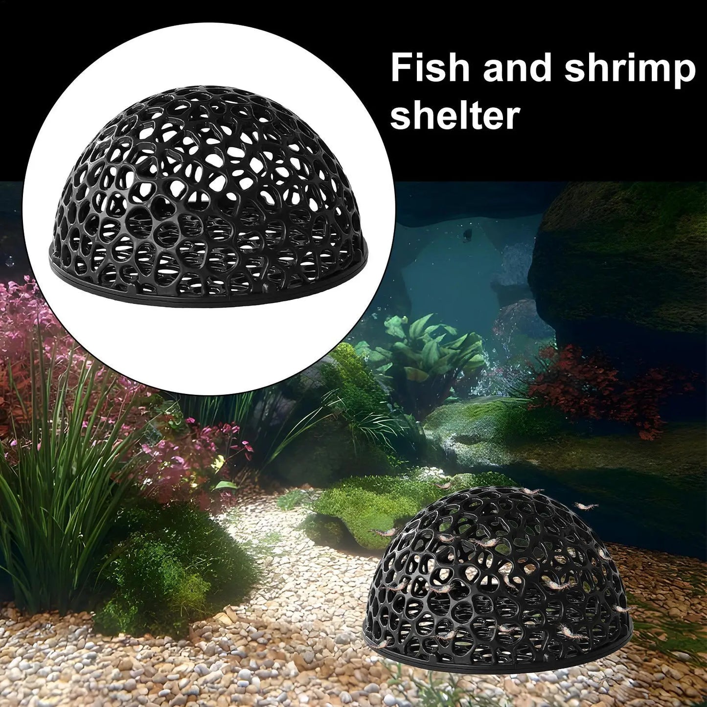 Shrimp Hides Aquarium shrimp house Cave Shrimp Hiding Place Betta Habitat Fish Resting Place Aquarium Fish Tank Decoration Peaceful Pleasures Health and Wellness
