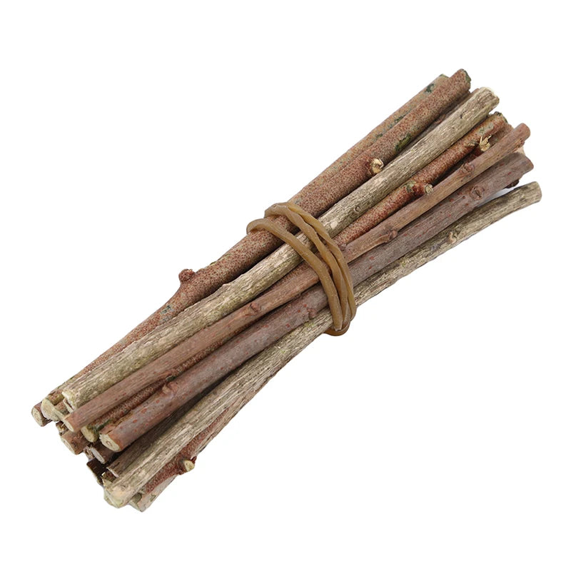 Miniature Wooden Sticks 20pcs for Fairy Garden & Plant Support DIY Natural Craft Supplies for Terrarium Small Birch Dowels Peaceful Pleasures Health and Wellness 2pcs as pictured
