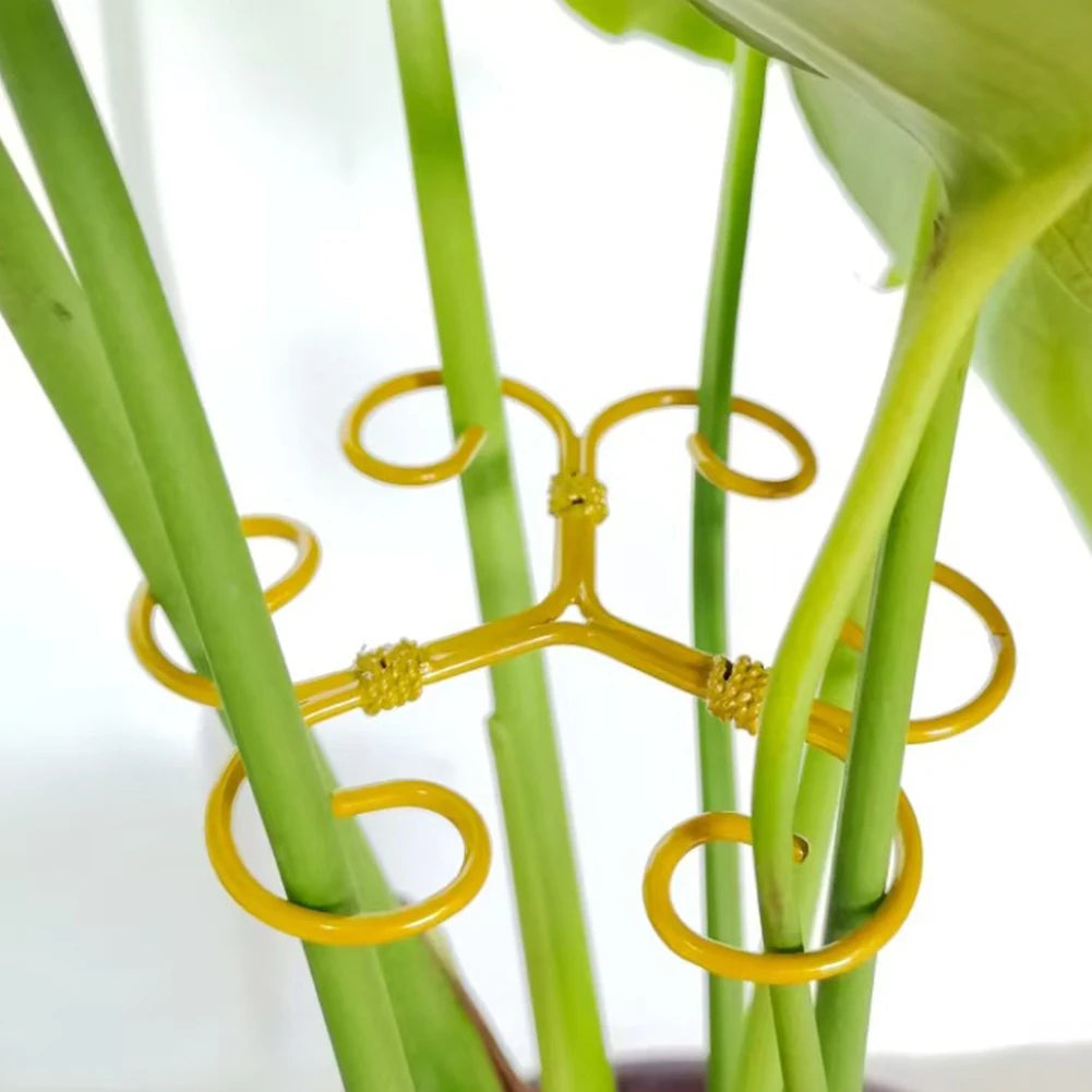5Pcs Reusable Plant Stem Support | Monstera Indoor Holder Peaceful Pleasures Health and Wellness
