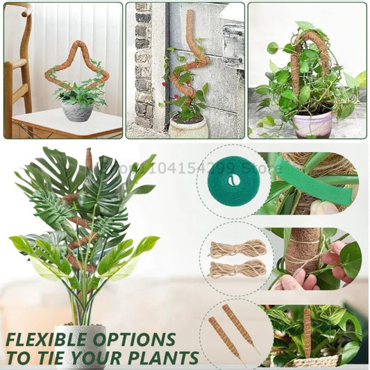 Bendable Coco Coir Moss Pole for Monstera & Climbing Plants Plant Climbing Pole Oasis Select