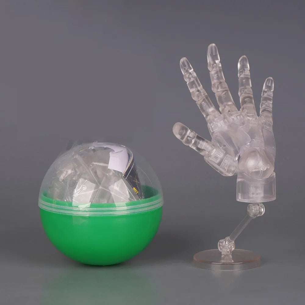 1:2 Scale Articulated Hand Model – Posable Fingers for Artists