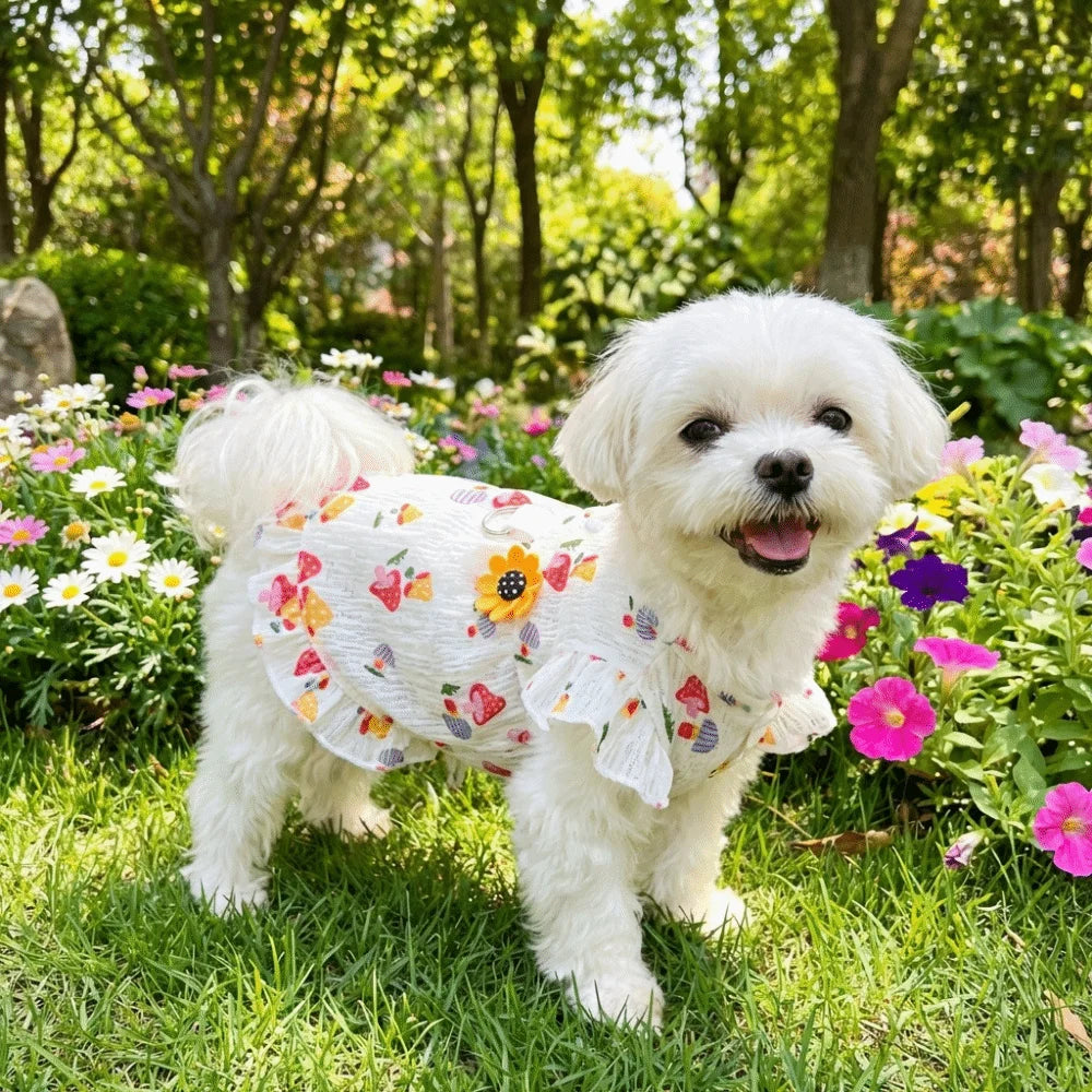 Dog Princess Dress | Mushroom Print Flutter Sleeve Summer Skirt