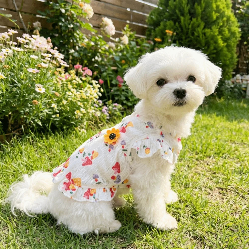 Dog Princess Dress | Mushroom Print Flutter Sleeve Summer Skirt