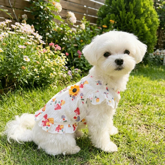Dog Princess Dress | Mushroom Print Flutter Sleeve Summer Skirt Dog Party Dress Peaceful Pleasures Health and Wellness