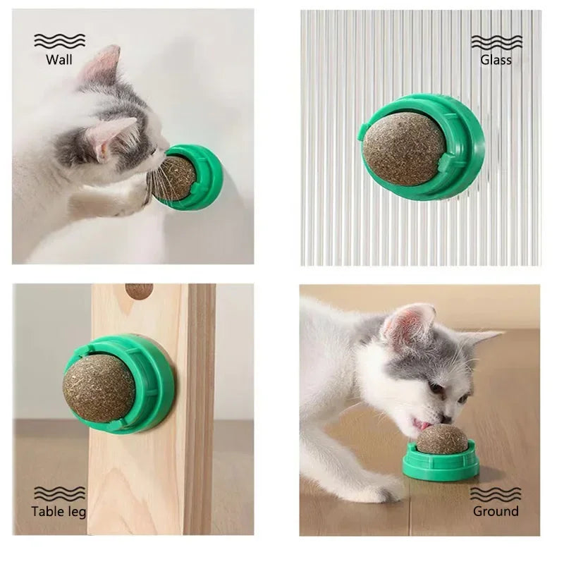 Catnip Wall Stick-On Ball Toy – Natural Cat Grass Treat & Dental Cat Catnip Toy Peaceful Pleasures Health and Wellness