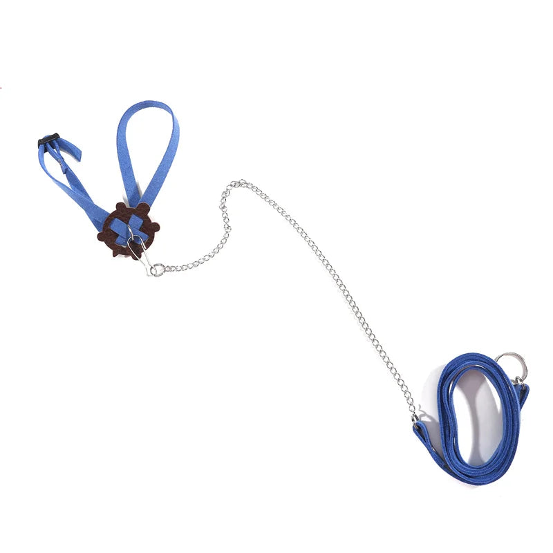 Pet Turtle Leash & Harness – Outdoor Training Traction Belt