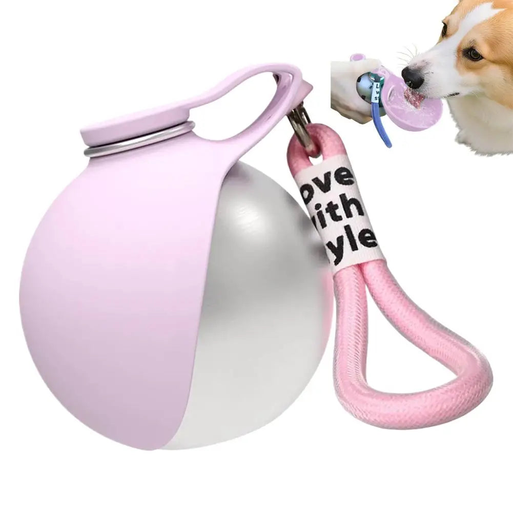 2-in-1 Portable Dog Water Bottle | Stainless Steel & Silicone