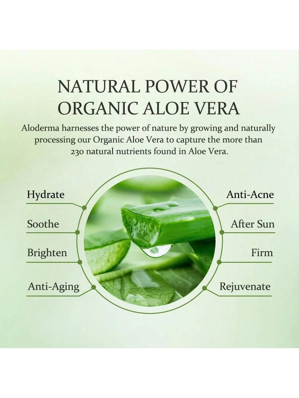 GZE Aloe Vera Gel – Moisturizer, Hair Frizz Control 250ml Aloe Vera Gel Peaceful Pleasures Health and Wellness