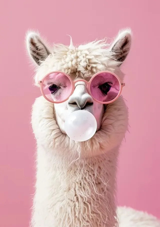 Disco Pink Funny Animal Canvas Wall Art – Kitten Llama Koala