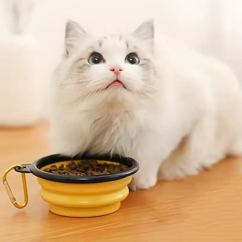 Collapsible TPE Pet Travel Bowl for Dogs & Cats – 350ml
