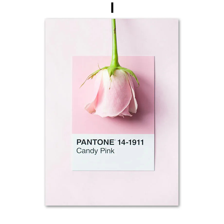 1pc frameless Canvas painting Spring Pink Rose Peony Sakura Dandelion Orchid Sparrow Car Garden Posters Flower Wall Art Canva Peaceful Pleasures Health and Wellness I 40x60cm Unframed