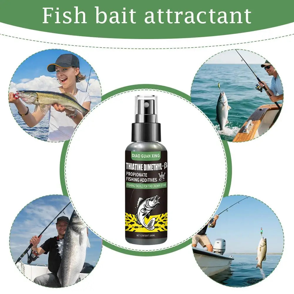 DMPT Fish Attractant Spray | All-Season Bait Additive 3×100ml