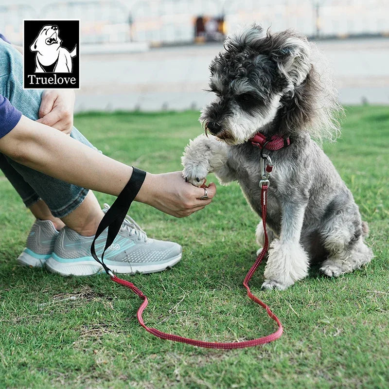 Truelove Lightweight Reflective Dog & Cat Leash – TLL2772 Peaceful Pleasures Health and Wellness
