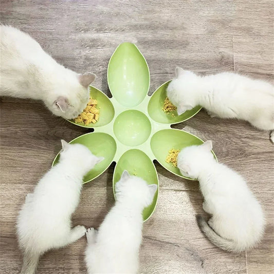Petal Multi-Cell Cat & Dog Food Bowl | Non-Toxic PP Multi-Cell Pet Bowl Peaceful Pleasures Health and Wellness