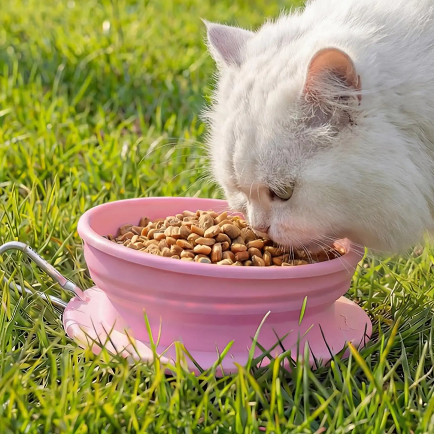 Foldable Silicone Pet Bowl – Portable Travel Food & Water Bowl