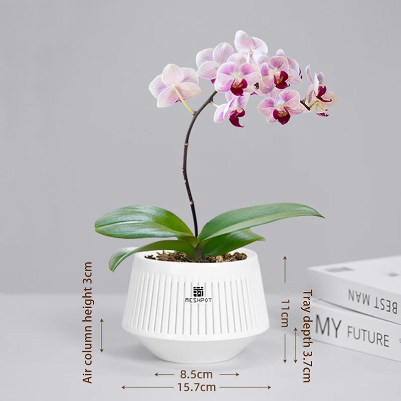 Meshpot Orchid Pots with Holes | Plastic Planter Indoor Outdoor
