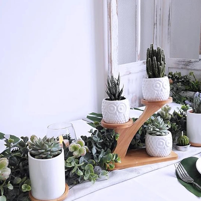 3-Tier Mini Plant Stand for Windowsill, Desk & Indoor Decor