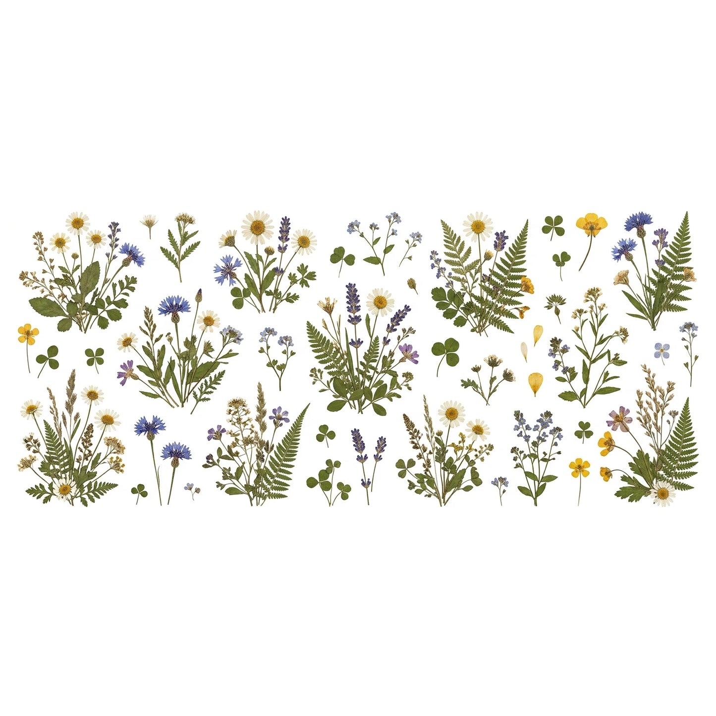 Wildflower UV Transfer Stickers | Botanical Daisy Fern Decals
