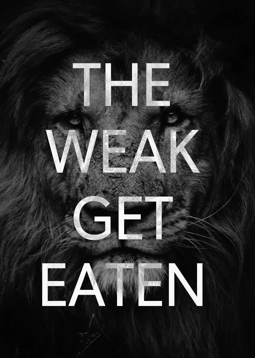Mindset Is Everything Canvas Wall Art | Lion Wolf Tiger Poster