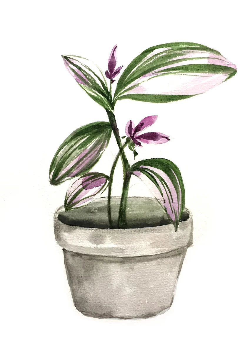 Plant Potted Watercolor Poster Family Garden Houseplant Botanical Canvas Printing Wall Art Picture for Living Room Home Decor Peaceful Pleasures Health and Wellness