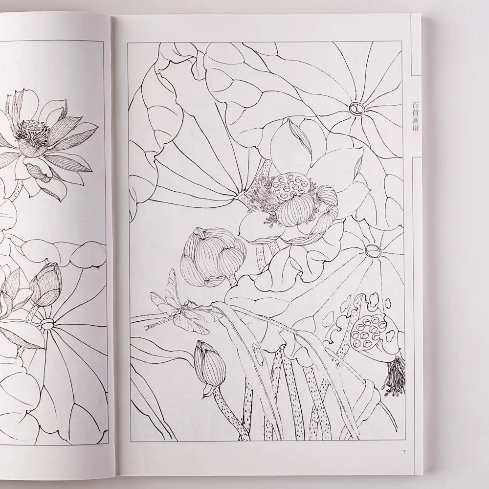 Baihe Painting Manual Coloring Book Easy Simple Designs Relaxation